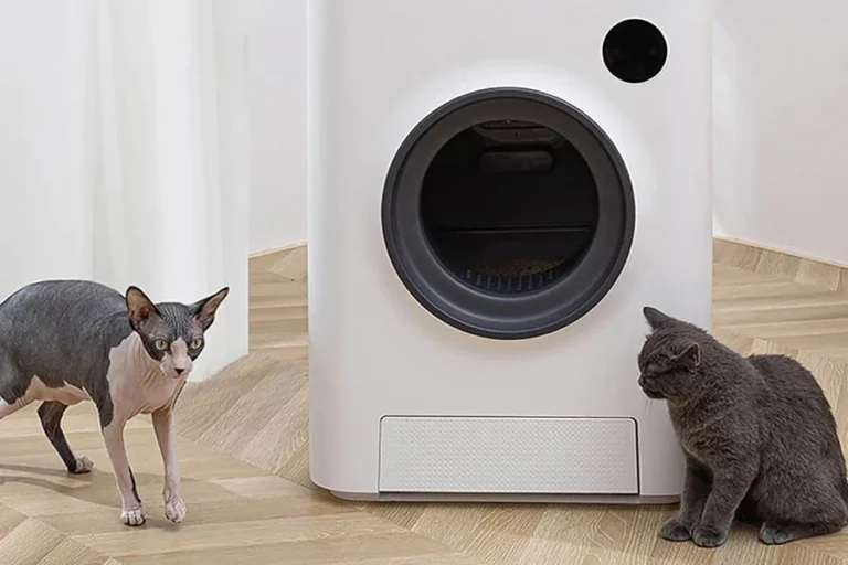 mess free cat litter box